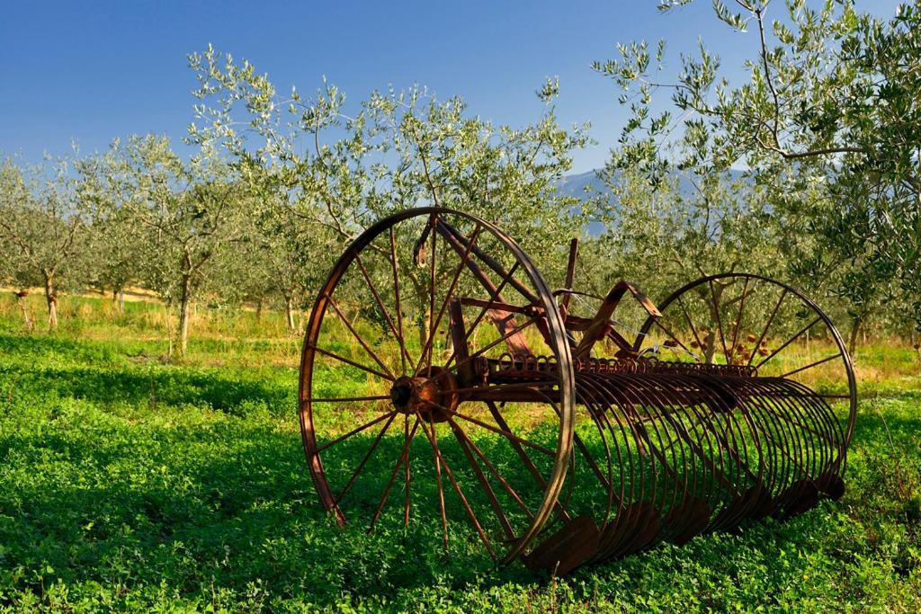Agriturismo L'Ulivo In Fiore Spoleto Exterior foto